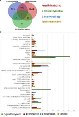 Hydrogen Sulfide Signaling in Plants: Emerging Roles of Protein Persulfidation